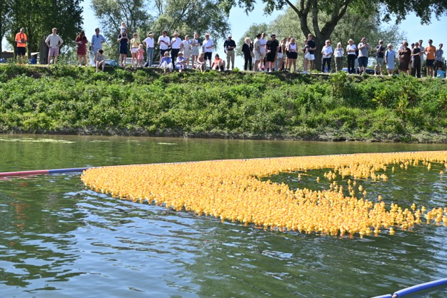 Duckrace Rotary Regatta 2026